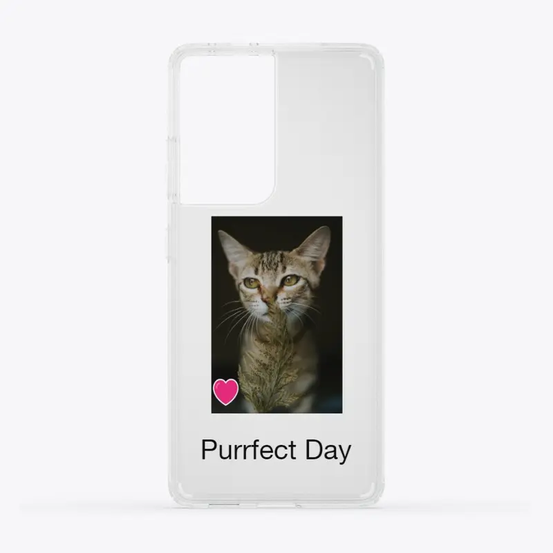 Purrfect Day Today!