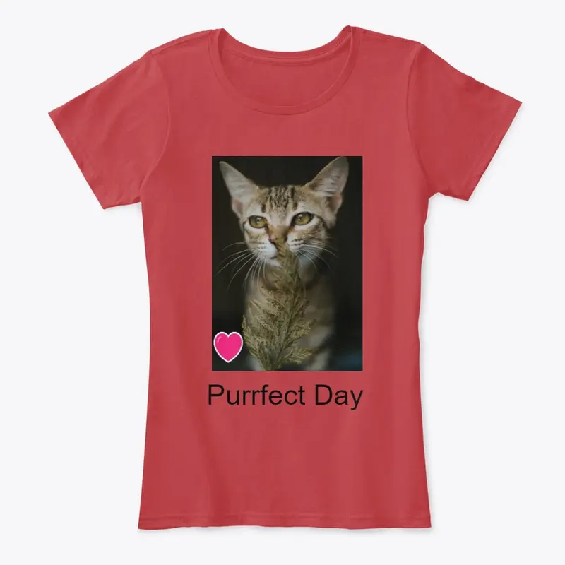 Purrfect Day Today!