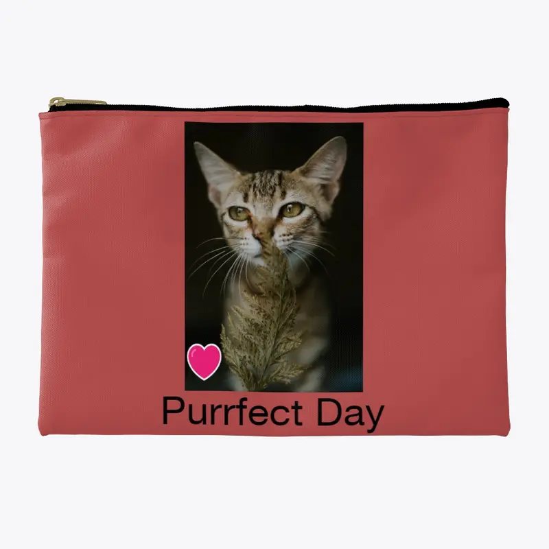 Purrfect Day Today!