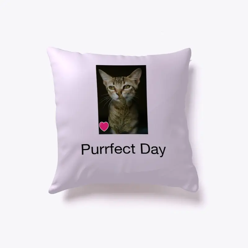 Purrfect Day Today!