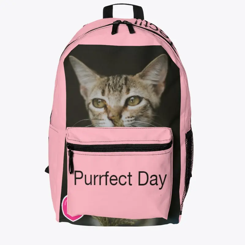 Purrfect Day Today!