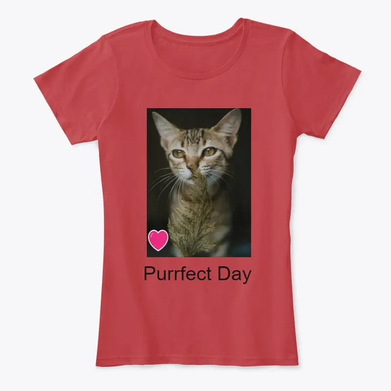 Purrfect Day Today!