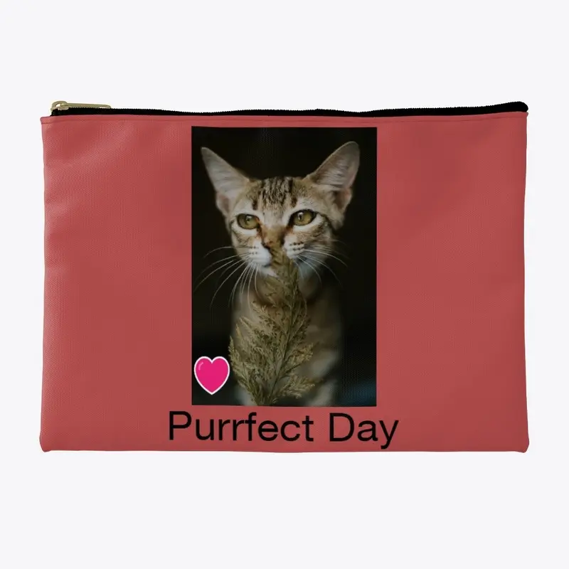 Purrfect Day Today!