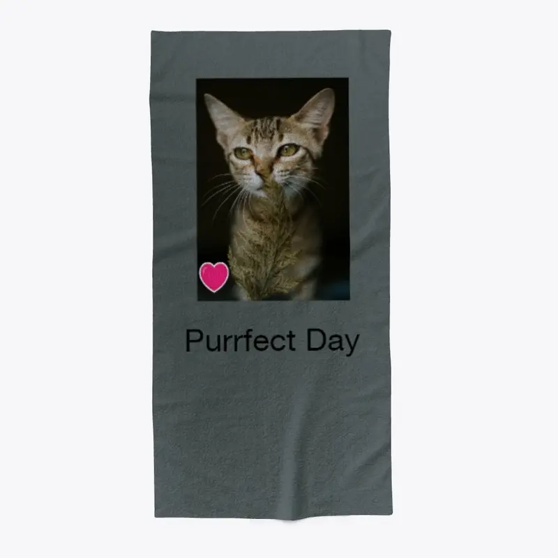 Purrfect Day Today!